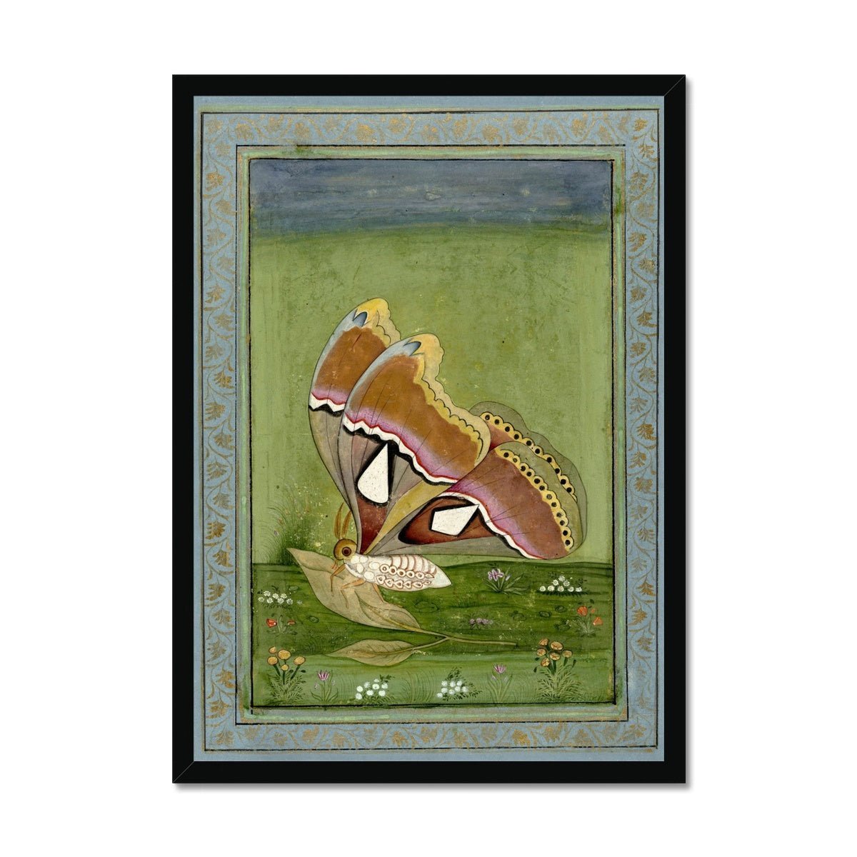 Butterly Non Digital Framed Print