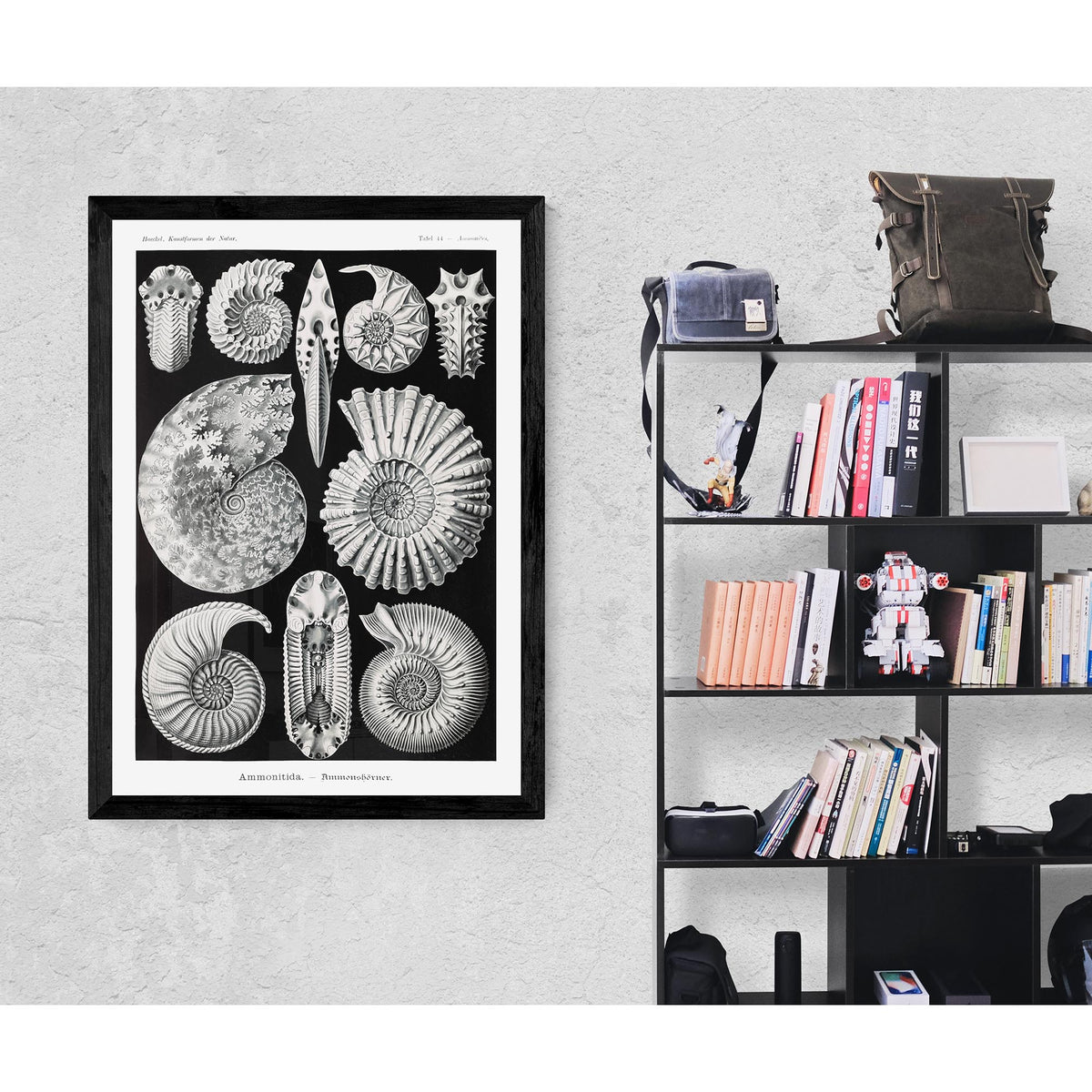 ERNST HAECKEL FRAMED PRINT