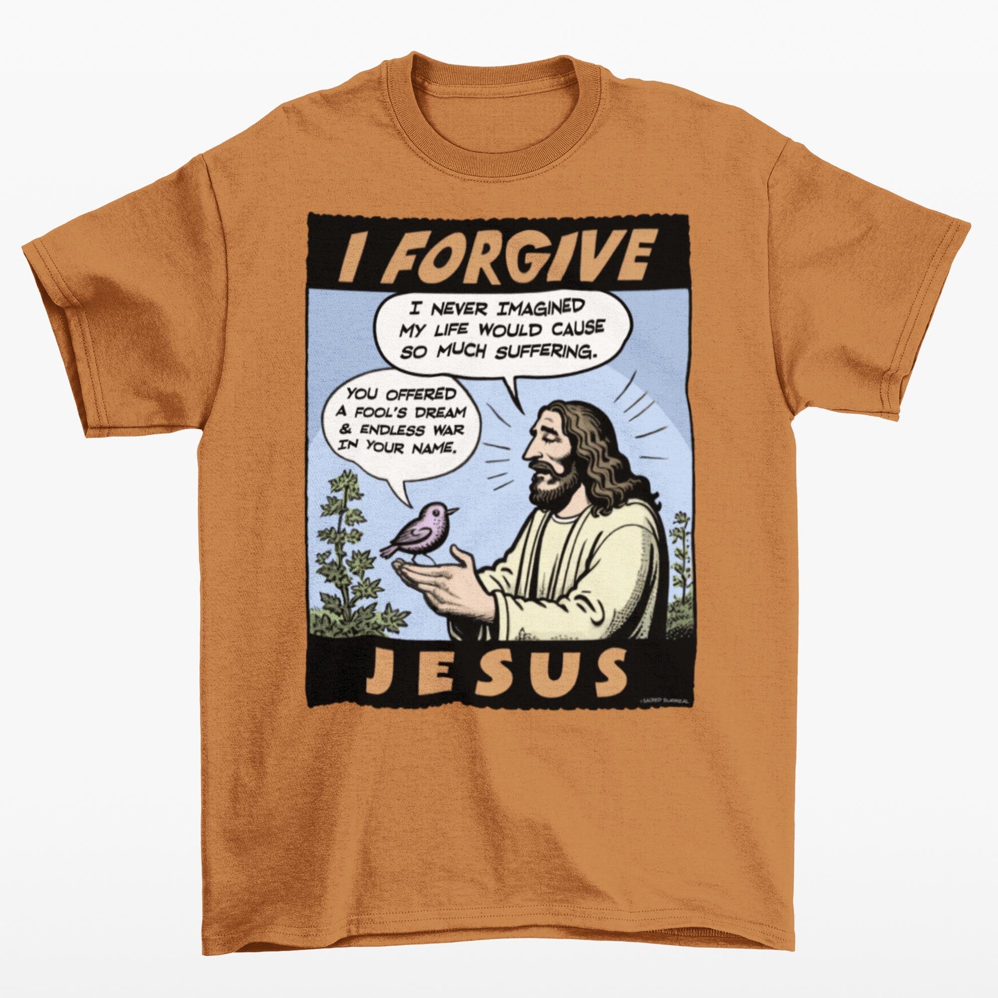 I Forgive Jesus | Atheist Brainwashing Hypocrisy | Offensive, Funny, Sarcastic Rationalist Blasphemy Graphic Art T-Shirt