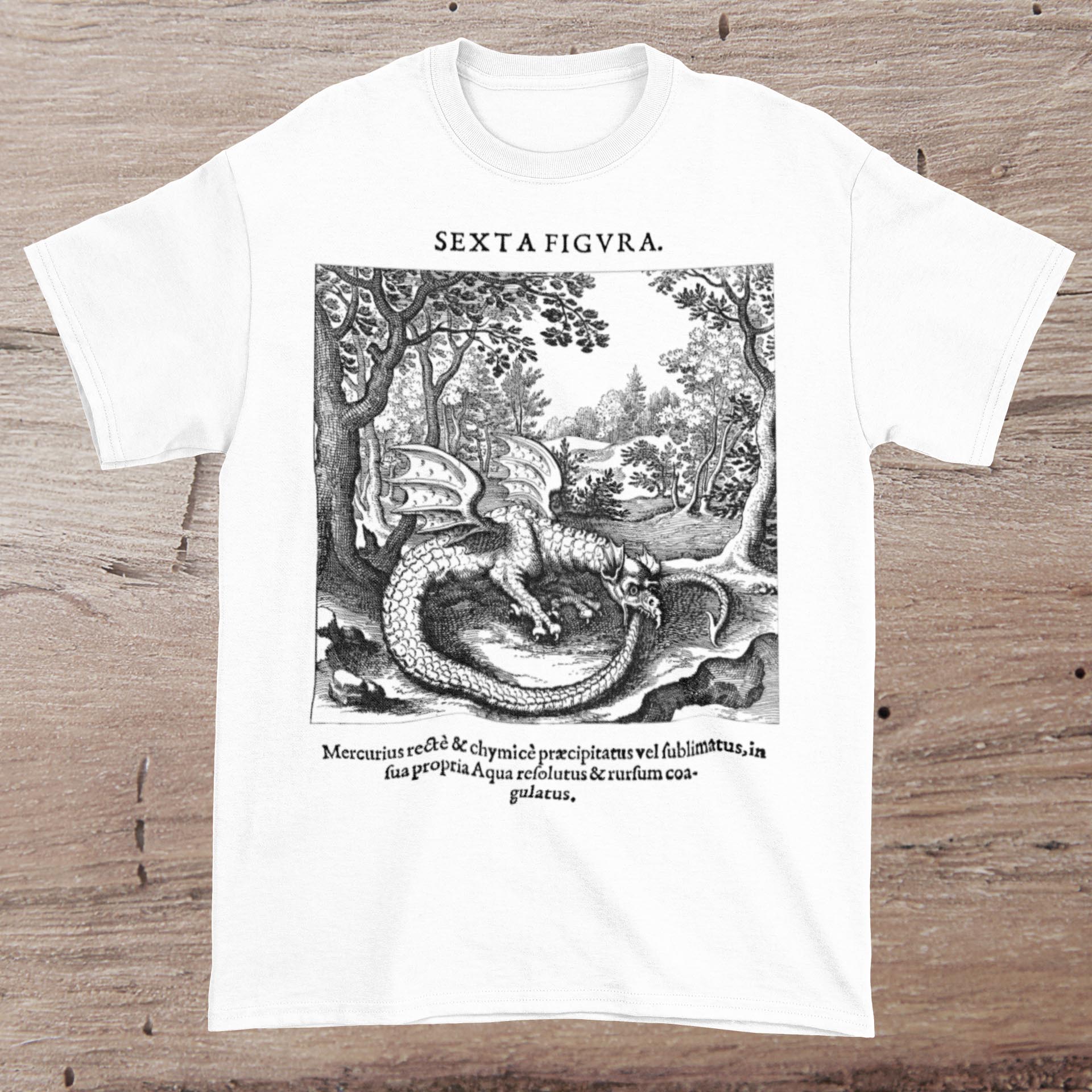 The Ouroboros Ancient Serpent Snake Dragon | Rebirth Hermetic Alchemy | Medieval Woodcut, Occult Esoteric Graphic Art T-Shirt