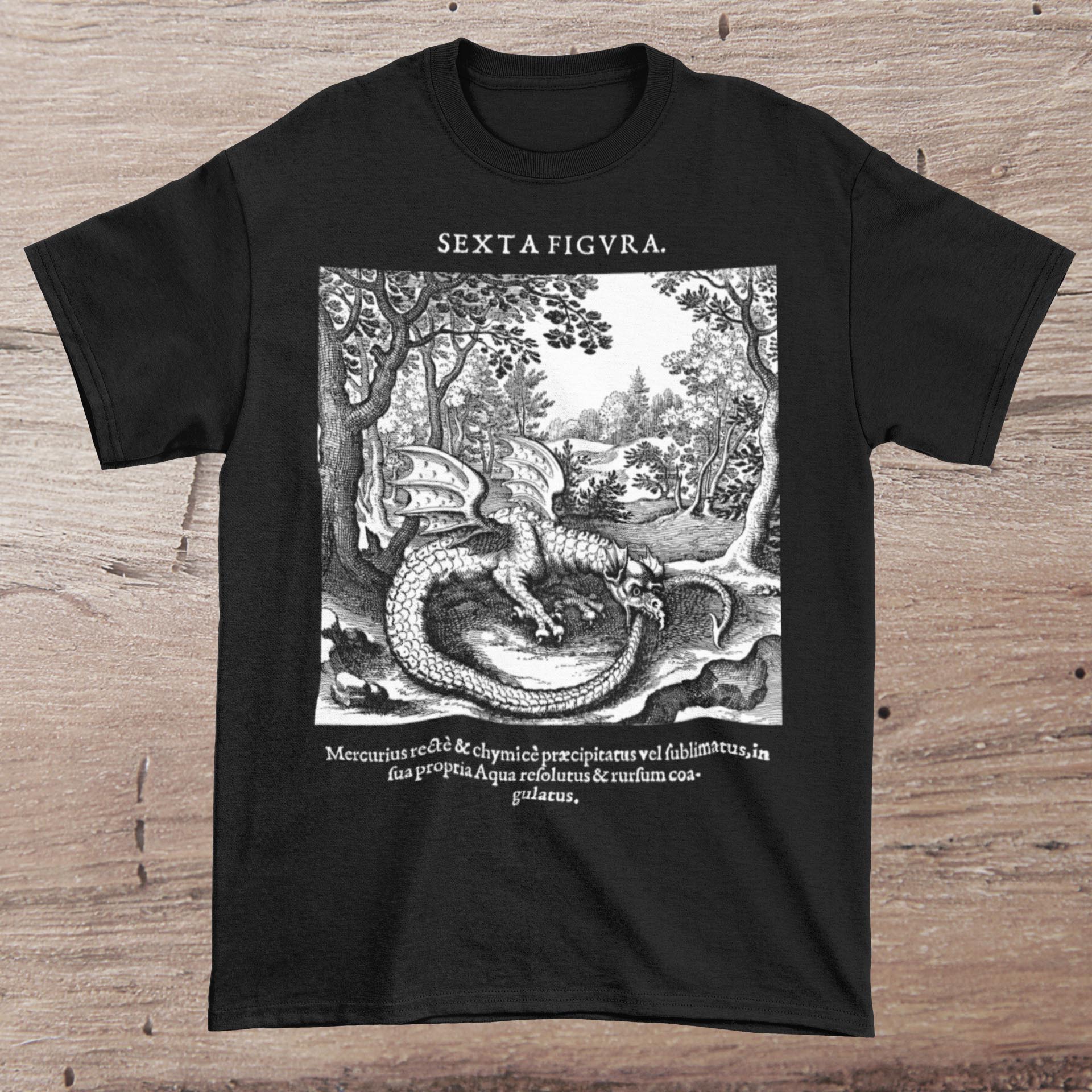 The Ouroboros Ancient Serpent Snake Dragon | Rebirth Hermetic Alchemy | Medieval Woodcut, Occult Esoteric Graphic Art T-Shirt